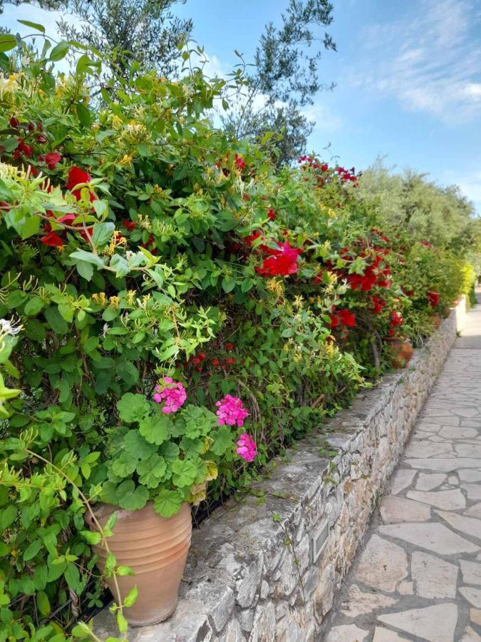 Aphrodite Apartments Καλύβες Εξωτερικό φωτογραφία
